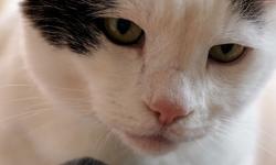 Featured image of post 【03月31日の写真日記】サスケとチャコとプラスチック分別の謎