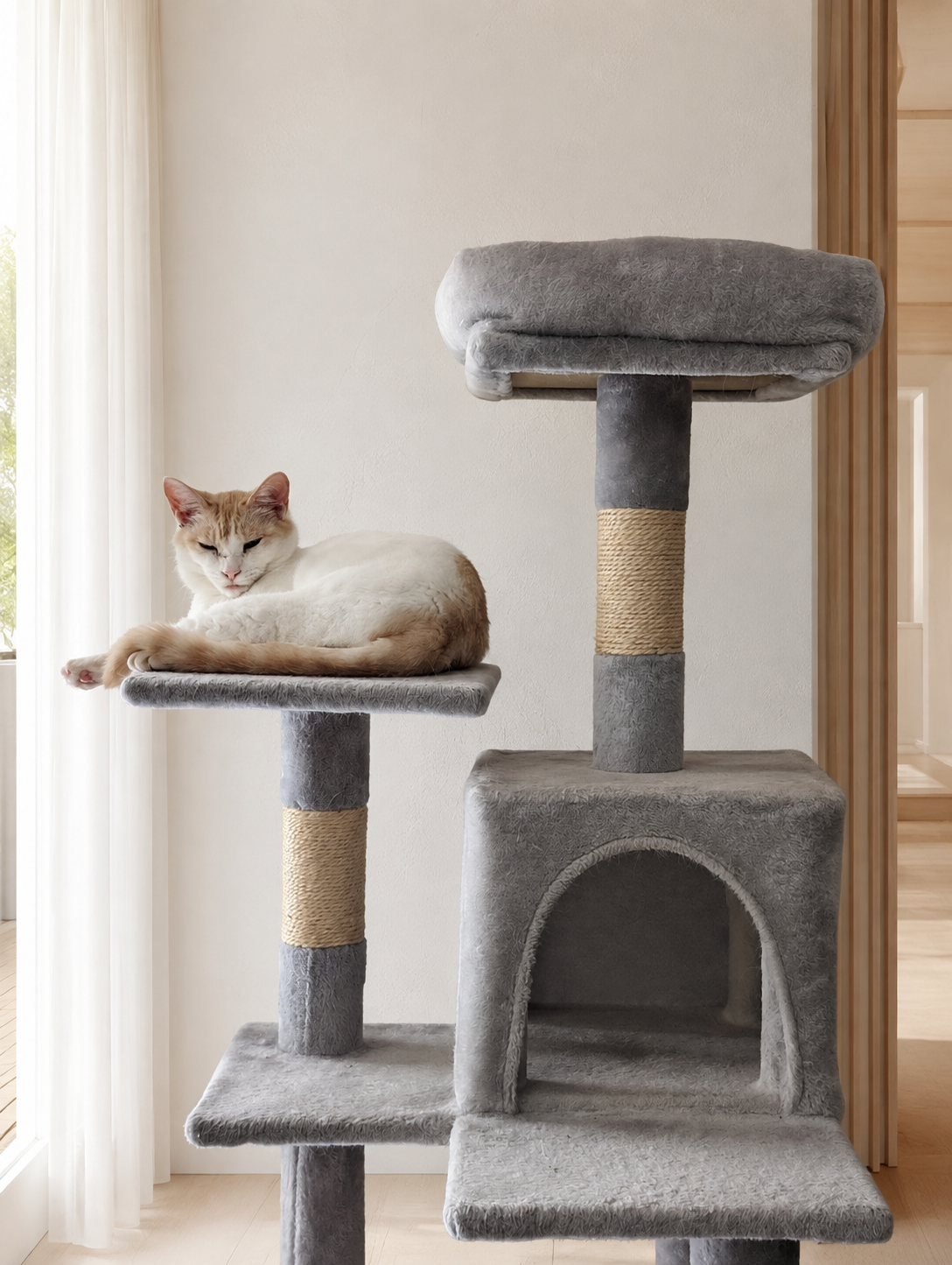 キャットタワーの上で丸まるチャコ