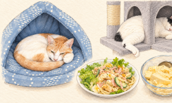 Featured image of post 【09月17日の写真日記】丸くなるチャコとはみ出すサスケと至高のスパサラ