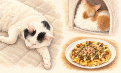 Featured image of post 【10月14日の写真日記】伸びるサスケと丸まるチャコ、リュウジのキャベツ焼き